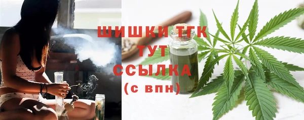 PSILOCYBIN Аркадак