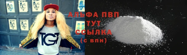 PSILOCYBIN Аркадак