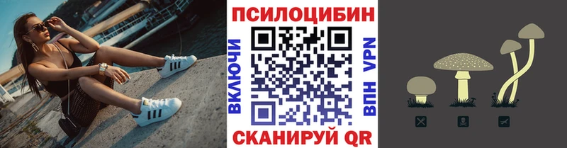 Галлюциногенные грибы мицелий  Суворов 